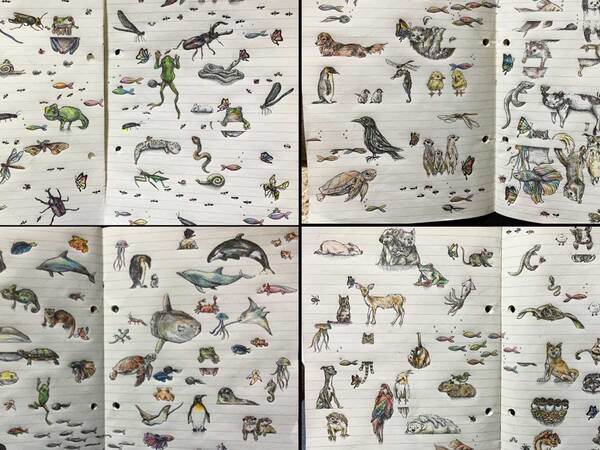 バズから５年、『現在の記録』に１９万人が驚愕　「軽い気持ちで参加したのに…」