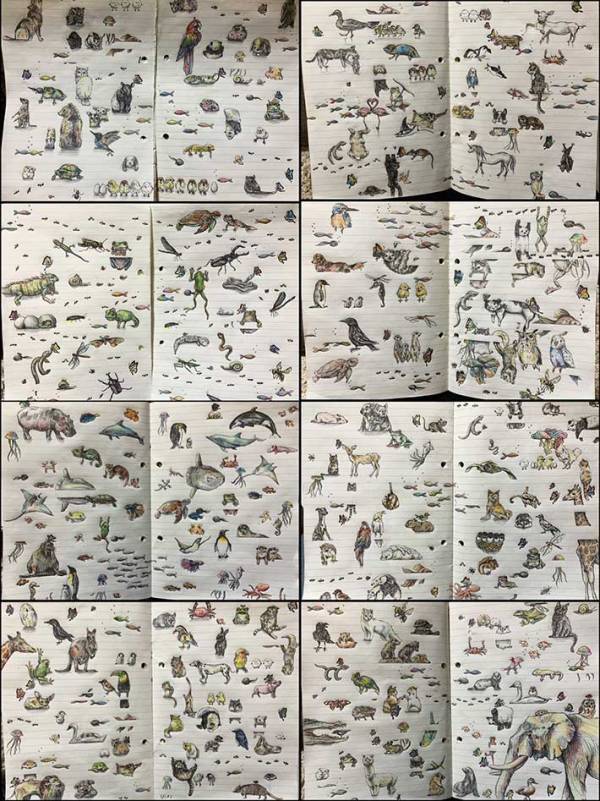 バズから５年、『現在の記録』に１９万人が驚愕　「軽い気持ちで参加したのに…」