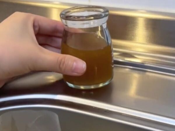 キッチンに置いておくだけで？　めんつゆホイホイに「捕獲力がエグい」「すぐ試す」