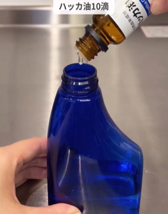 キッチンに置いておくだけで？　めんつゆホイホイに「捕獲力がエグい」「すぐ試す」