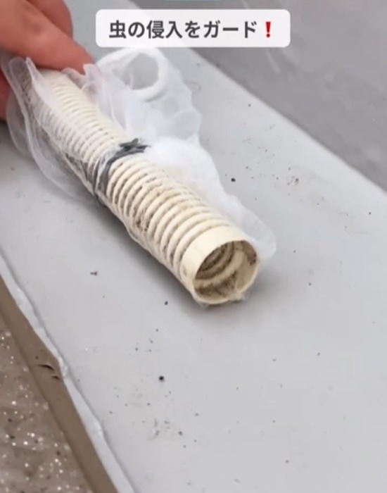 キッチンに置いておくだけで？　めんつゆホイホイに「捕獲力がエグい」「すぐ試す」