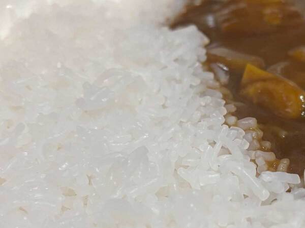『白ごはん』をよく見ると…？　カレーの写真に「やっと分かった」「何だこれ」