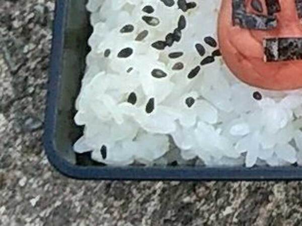 男性「気付いたか？」　手作り弁当の写真に「かわいすぎる」「こんな夫がほしい」