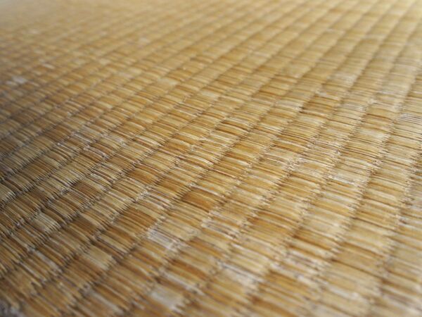 畳にじわっと広がるカビ　正しい掃除法に「知らなかった」「今日やる」