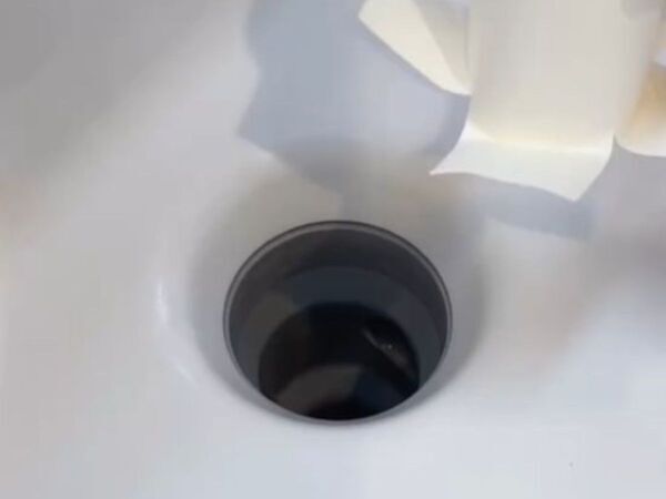 トイレットペーパーの芯を差し込むと…　排水口の奥で起きたことに「これは助かる」「発想が天才」