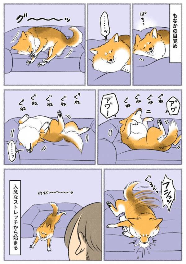 ストレッチする愛犬　もう１匹が…？「笑った」「外で読むんじゃなかった」