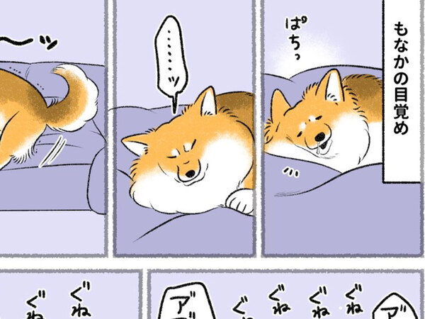 ストレッチする愛犬　もう１匹が…？「笑った」「外で読むんじゃなかった」