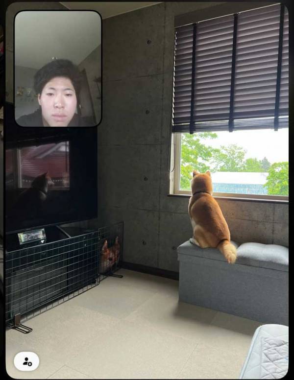 飼い主の帰りを待つ愛犬　２か月ぶりの再会に『３５万人』が爆笑した理由とは？