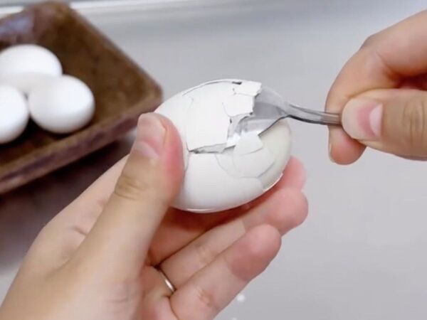 スプーンを差し込んで回すだけ　殻剥きの裏技に「気持ちいい」「真似したい」