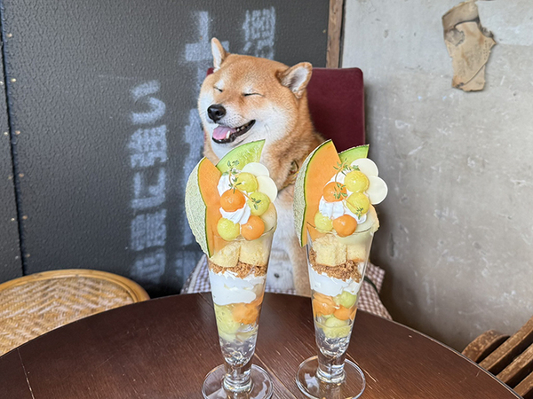 店で注文したメロンパフェ　後ろを見ると？「目が行っちゃう」「こっちが主役かな？」