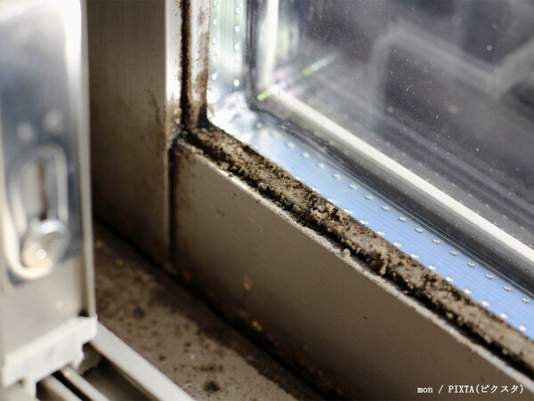 「スプレーよりもおすすめ」　気になる窓枠のカビ、企業が教える対処法とは