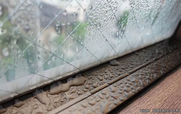 「スプレーよりもおすすめ」　気になる窓枠のカビ、企業が教える対処法とは