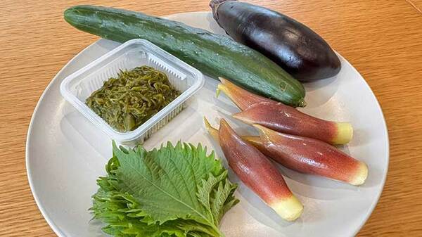 キュウリやナスをそのまま…　そうめんに合う『だし』に「食欲がわく」「簡単でうまい」