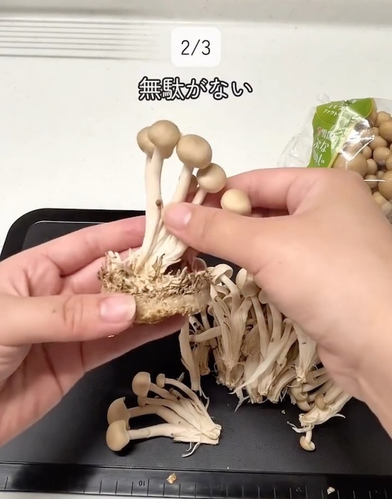 「冷凍しちゃダメだと思ってた」　モヤシ保存の正解に「衝撃」「助かる！」