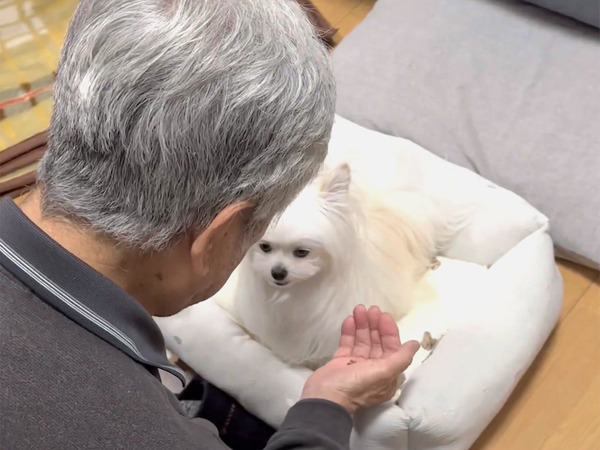 おじいちゃんを苦手な愛犬　オヤツを食べた瞬間…「変わりすぎ！」「何度も再生しちゃった」
