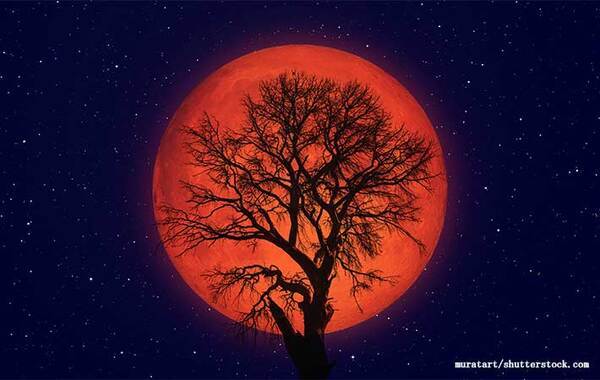 年に一度の『ストロベリームーン』がいよいよ！　夜空を見て何を願う？