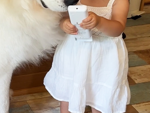 暑がりな２歳児と大型犬　とった行動が？「これは許す」「そりゃ暑いわ」