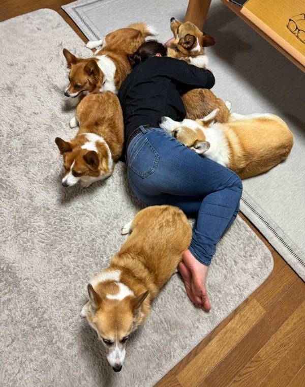 「これになりたい」　寝そべる女性に２万人が注目、その理由がこちら