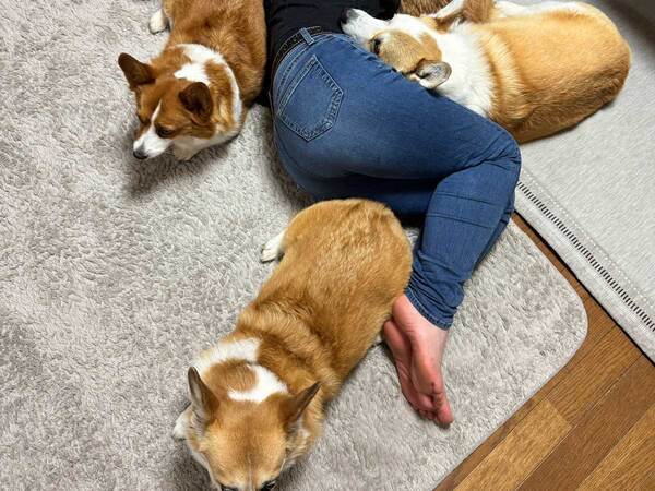 「これになりたい」　寝そべる女性に２万人が注目、その理由がこちら