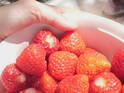 おいしそうな大量のイチゴ　そこに写り込んだのは？「圧が強いって」「これは仕方ない」