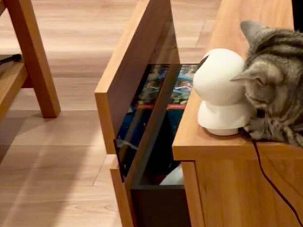 ペットカメラに愛猫が映らない…　急いで帰宅した飼い主が見た光景が？