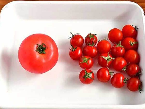 トマトとミニトマト、選ぶならどっち？　管理栄養士の視点に、目からウロコ