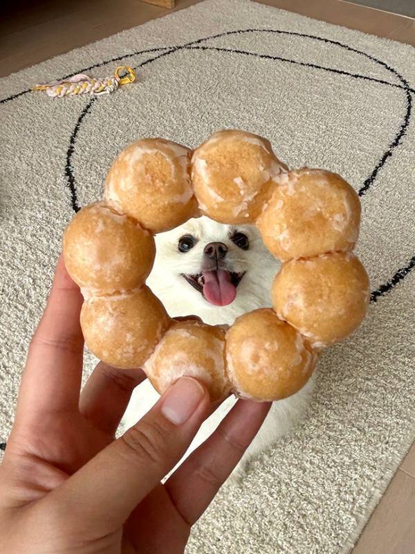 『ポン・デ・リング』にカメラを向けたら？　『奇跡のショット』がこちら！