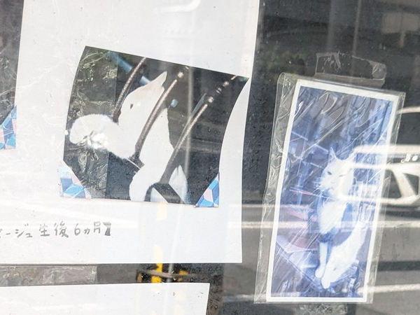 さびれた個人商店に『貼り紙』　近寄ってよく見てみると…