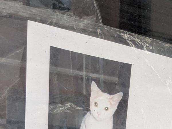 さびれた個人商店に『貼り紙』　近寄ってよく見てみると…