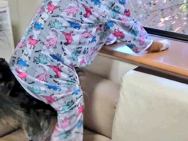 恐竜パジャマの正体は？　寝起きの子供ではなく…「本当にギリギリ」「吹き出した」