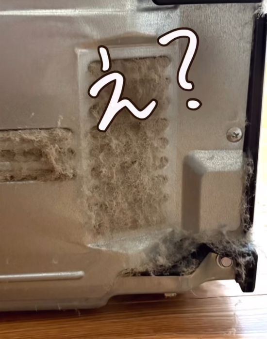 「炊飯器を横にしたら…」　見えた光景に「ゾッとした」「これはマズい」