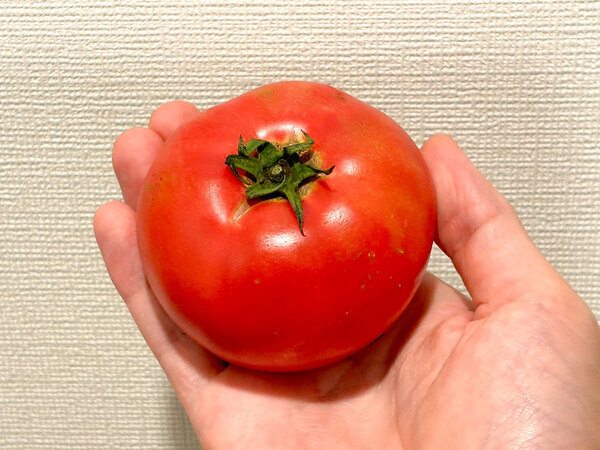 その手があったか！　カゴメが教える『青いトマトを赤くする方法』