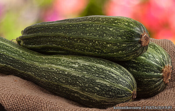 【保存のコツ】夏に旬を迎えるズッキーニ　すぐに食べない時の保存方法は？