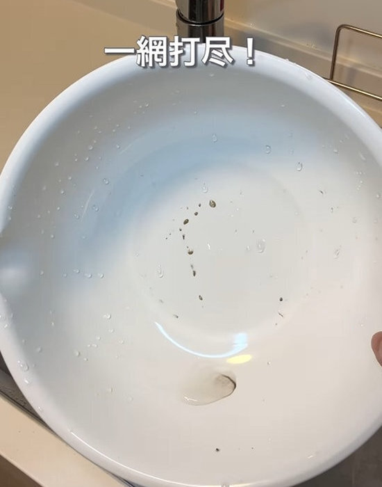 ブロッコリーをお湯につけたら…　出てきたものに「ゾッ」