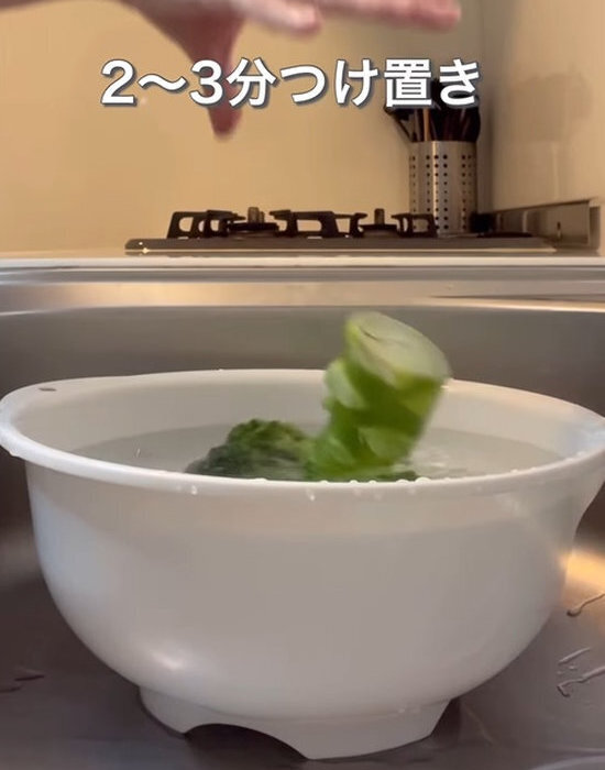 ブロッコリーをお湯につけたら…　出てきたものに「ゾッ」