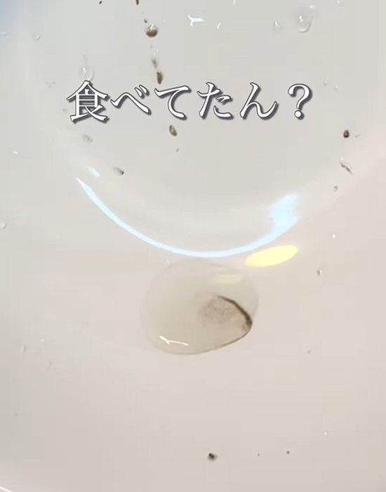 ブロッコリーをお湯につけたら…　出てきたものに「ゾッ」