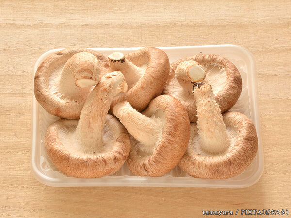 「買ったキノコは冷蔵庫の…」　生産者がおすすめする『保存場所』はこちら