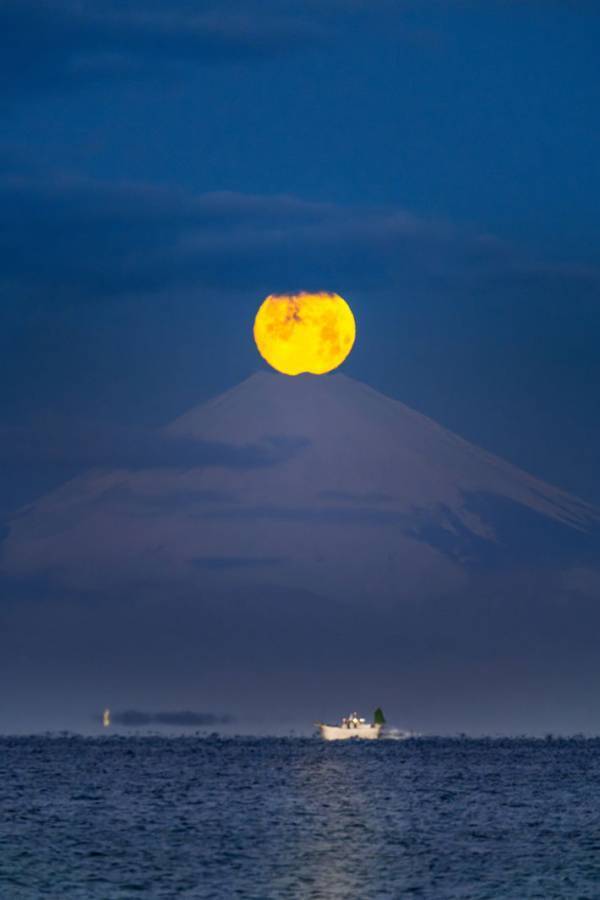 「ご利益がありそう」「お見事！」　思わず『拝む』人が続出した１枚とは？