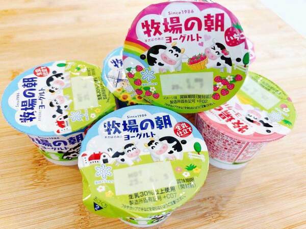 調理時間５分！　ヨーグルトを使ったチーズケーキに「ほっぺた落ちそう！」