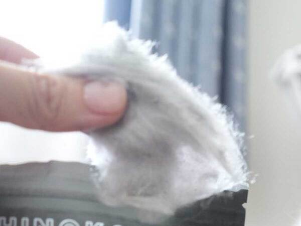 お菓子を食べた飼い主を見て…？　猫がドン引きしたワケに「爆笑」「それにしか見えん」