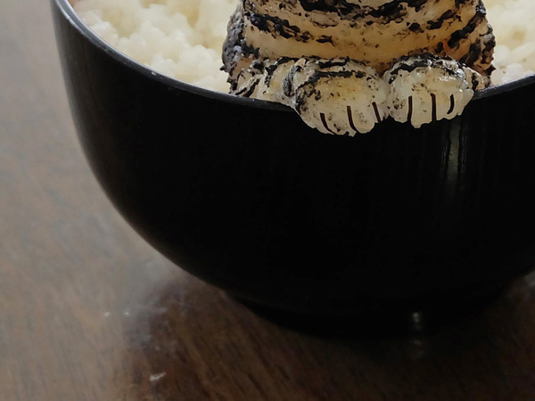 どんぶりによそったごはん　その中から？「かわいすぎて食べられない」