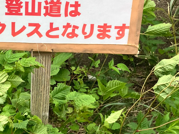 登山道の『意味不明すぎる看板』　内容が？「二度見するわ」「何があるんだよ…」
