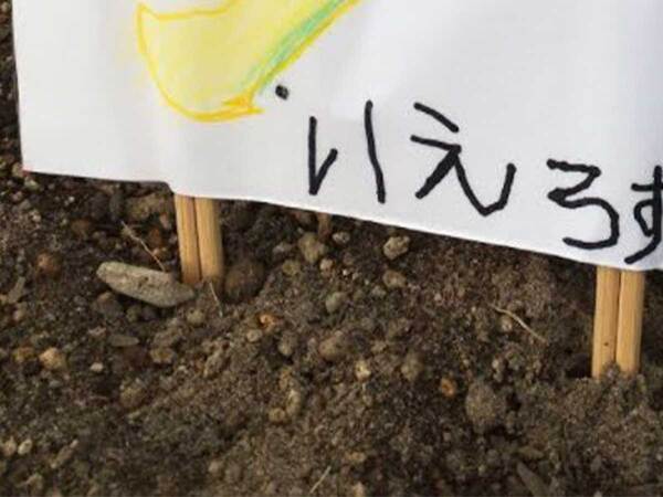 園芸用ラベルを見ると…　書かれていた文字に「大人にはない発想」