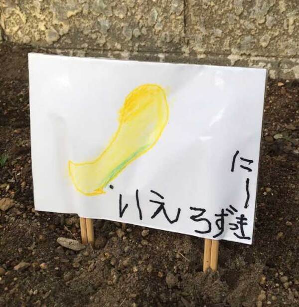 園芸用ラベルを見ると…　書かれていた文字に「大人にはない発想」