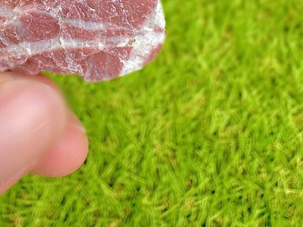 ５歳息子のプレゼントに『１２万人』が驚き！　「天才か！」「想像以上」