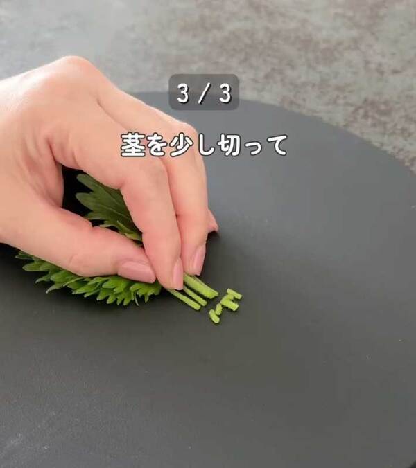 製氷皿に『大葉』を入れると…　完成したものに「発想が天才」「早速やる！」