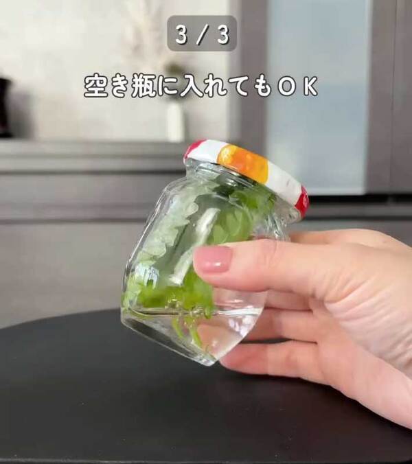 製氷皿に『大葉』を入れると…　完成したものに「発想が天才」「早速やる！」