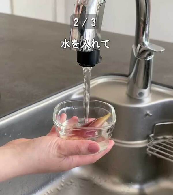 製氷皿に『大葉』を入れると…　完成したものに「発想が天才」「早速やる！」