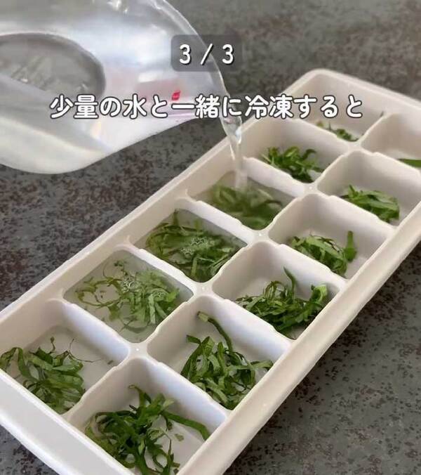 製氷皿に『大葉』を入れると…　完成したものに「発想が天才」「早速やる！」