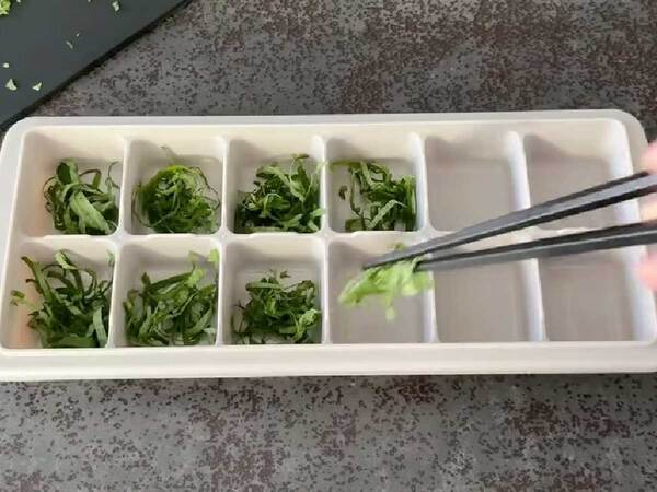 製氷皿に『大葉』を入れると…　完成したものに「発想が天才」「早速やる！」